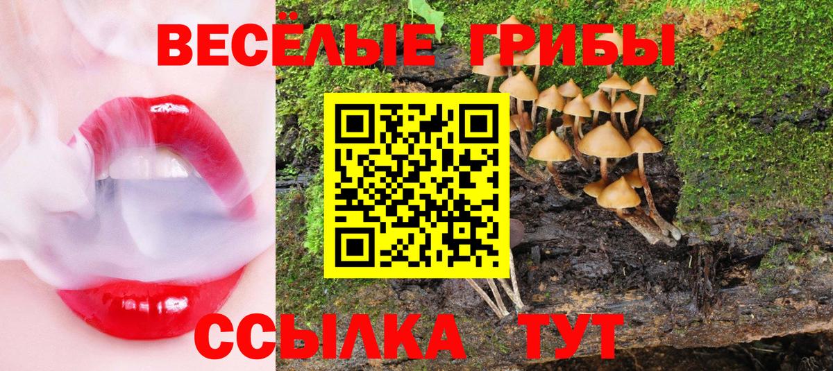 Псилоцибиновые грибы GOLDEN TEACHER  Вход с VPN  Хабаровск 